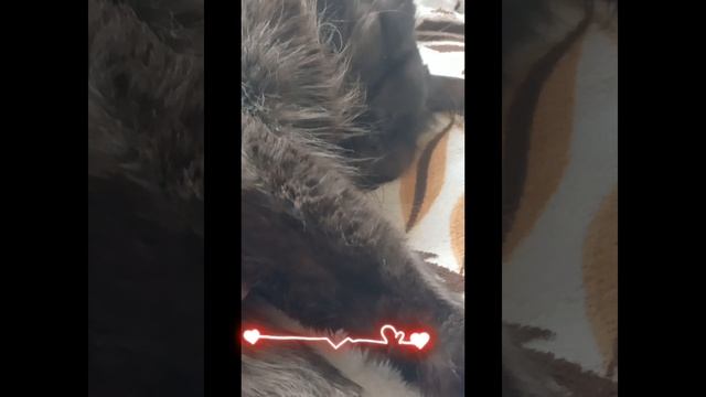 Я думаю что у меня достаточно комфортно