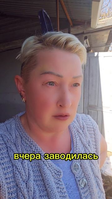 Не заводилась