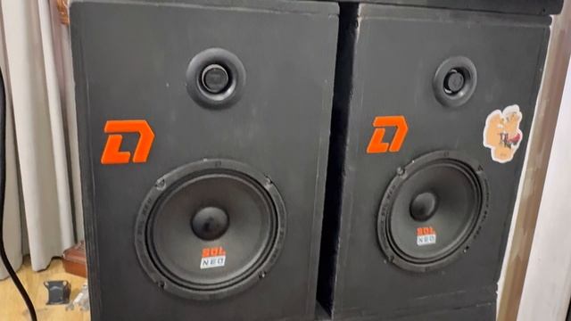 DLaudio Raven 5.1100, подключаем к tweeter easy neo , Phoenix sql 165 neo, Phoenix sport 300