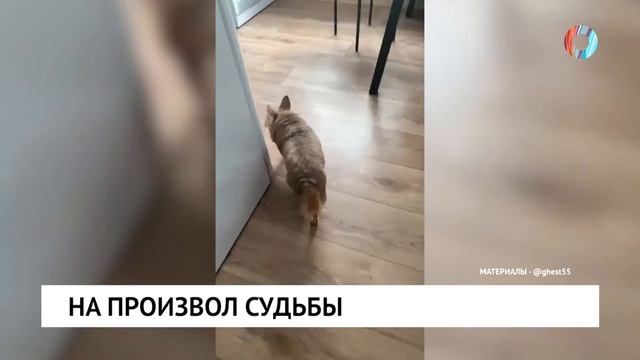 На произвол судьбы