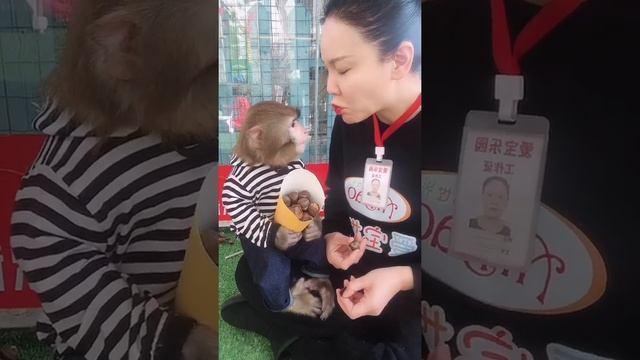 Sweet & Adorable Mom Cute Play And Eat With Smart Baby
