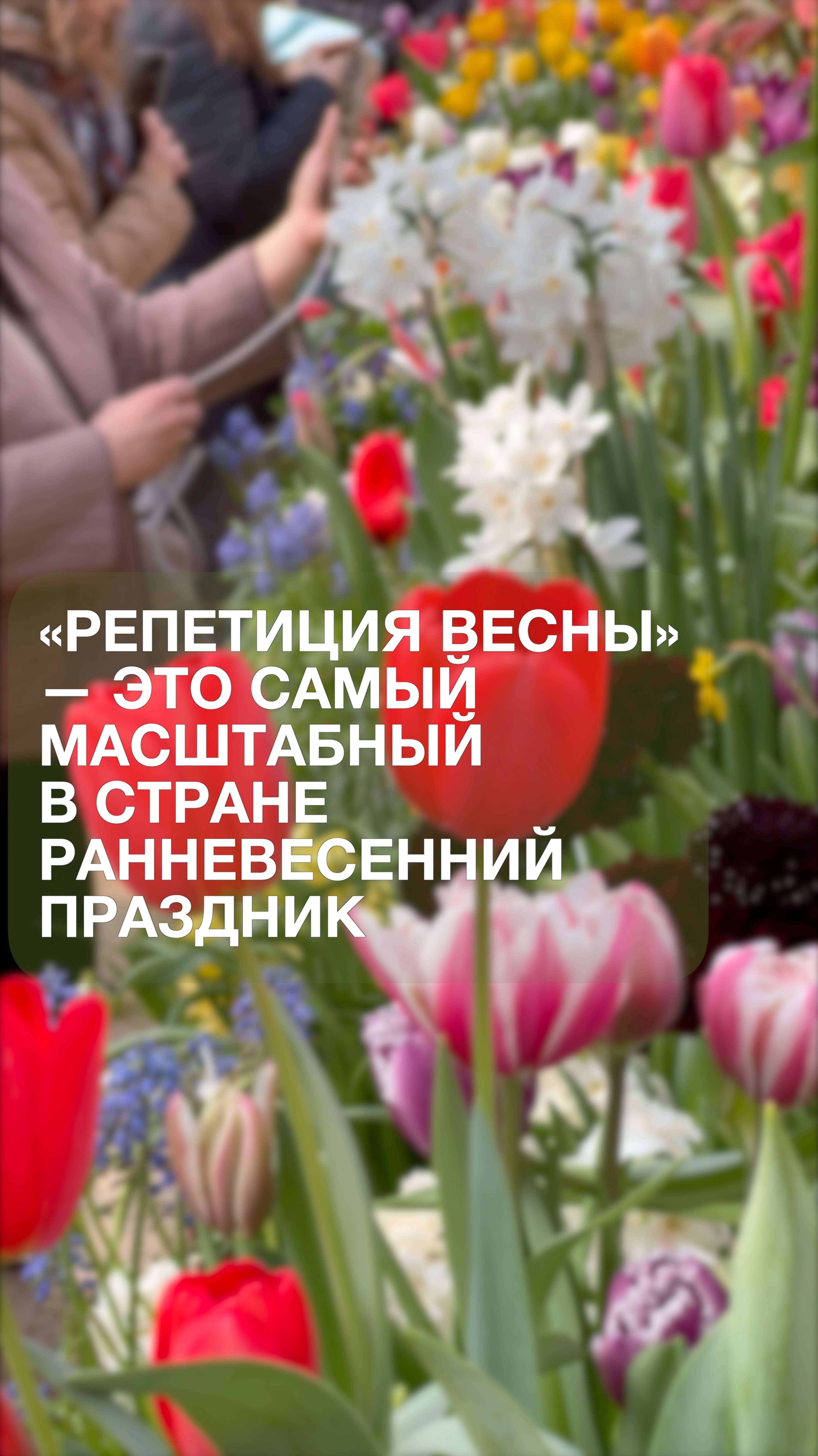 Последние дни «Репетиции весны» в «Аптекарском огороде»!
