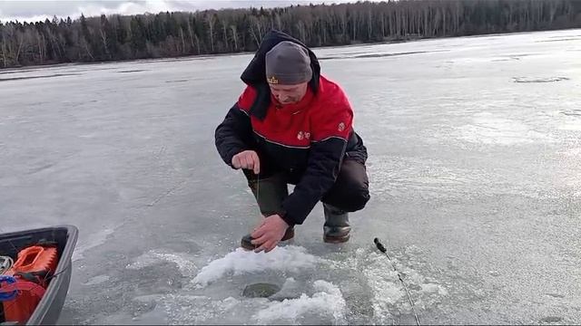 проверка жерлиц