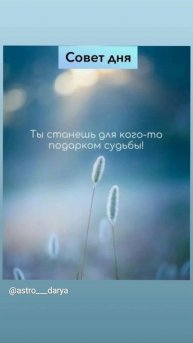 Аффирмация дня
#аффирмации #убеждения #аффирмациянакаждыйдень #аффирмациядня #благодарность