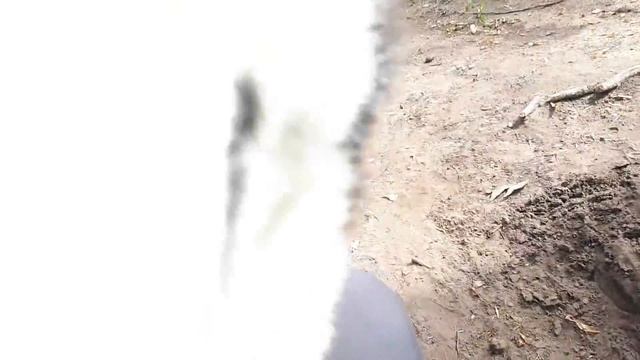 К нам приехал трактор
