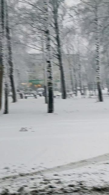 🟢 В Кораблино 15 марта.   Весна