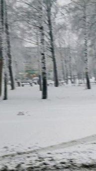 🟢 В Кораблино 15 марта. Весна