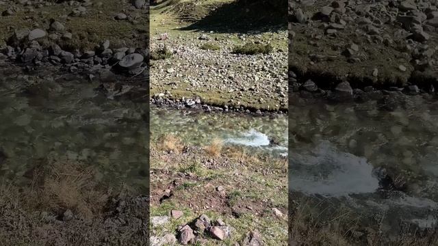 Аксаут