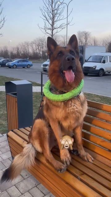Красивушку вам в ленту 😍❤️
