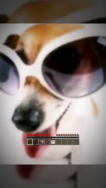 1000036221.mp4