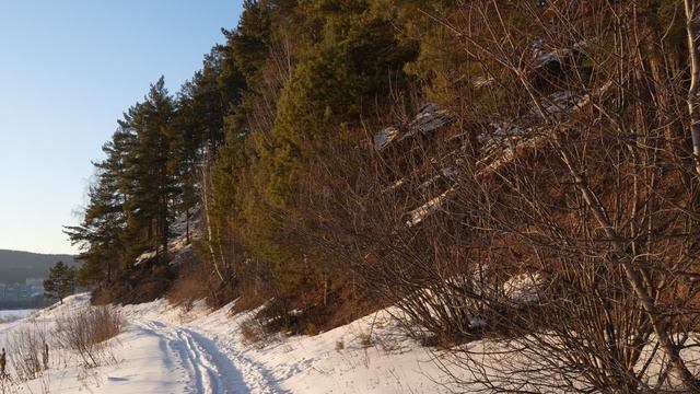 Лес на краю каменистой горы. Скальный выход. Шум ветра. Красоты России.