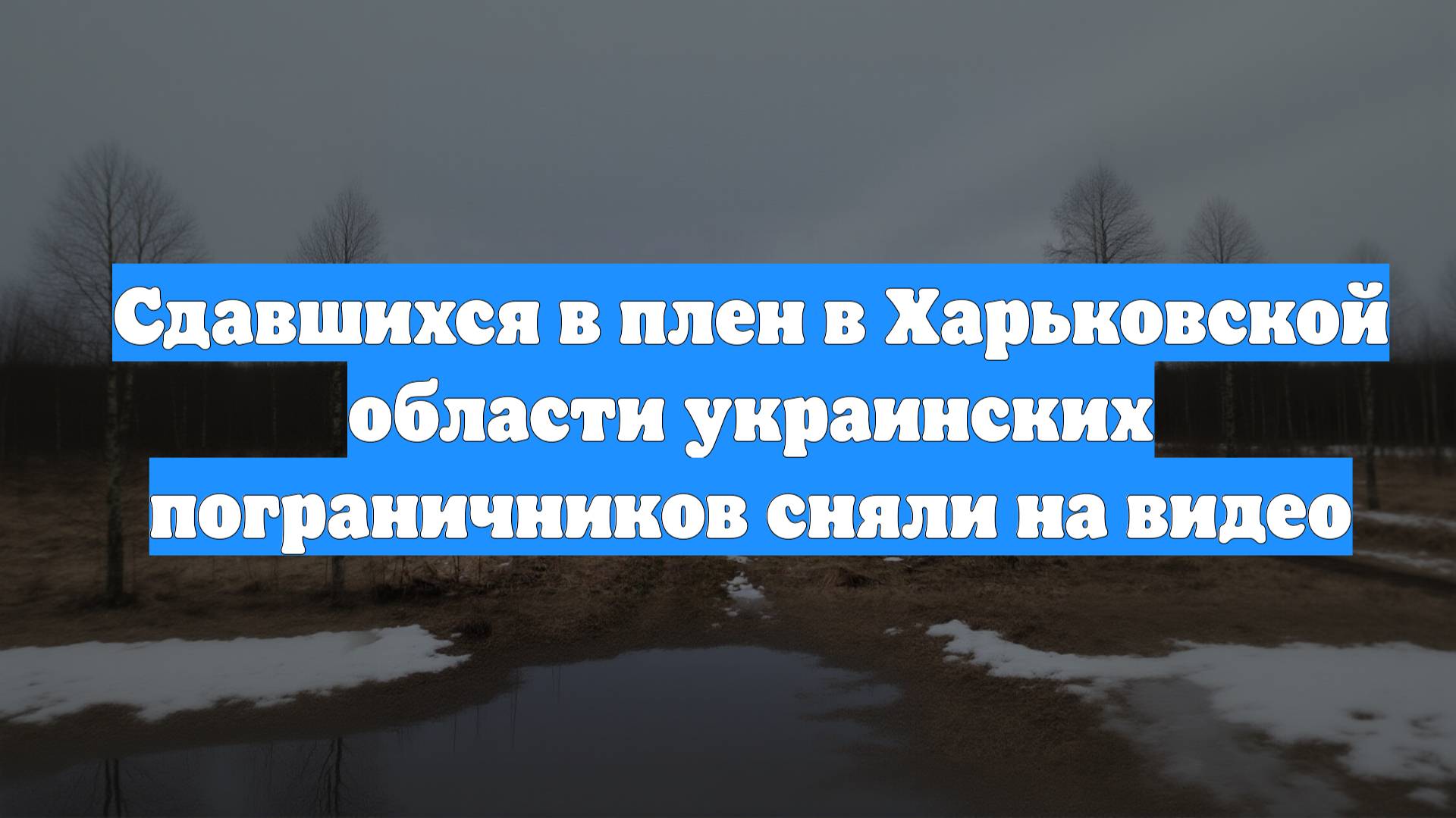 Сдавшихся в плен в Харьковской области украинских пограничников сняли на видео