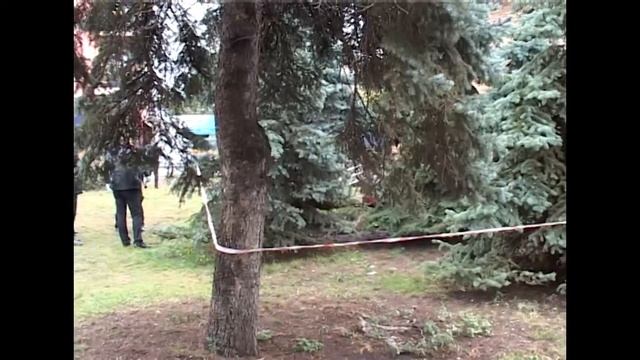 Київська поліція затримала винних у смерті чоловіка неподалік станції метро «Гідропарк»