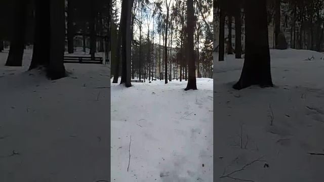 VID-20250315-WA0015