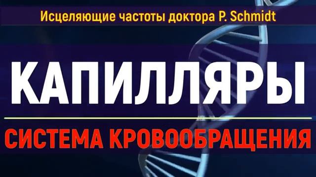 ИСЦЕЛЕНИЕ СОСУДОВ И КАПИЛЛЯРОВ*Лечебные Частоты для Здоровья СЕРДЦА и МОЗГА