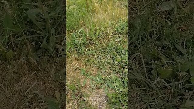 покарают тебя за твои грехи