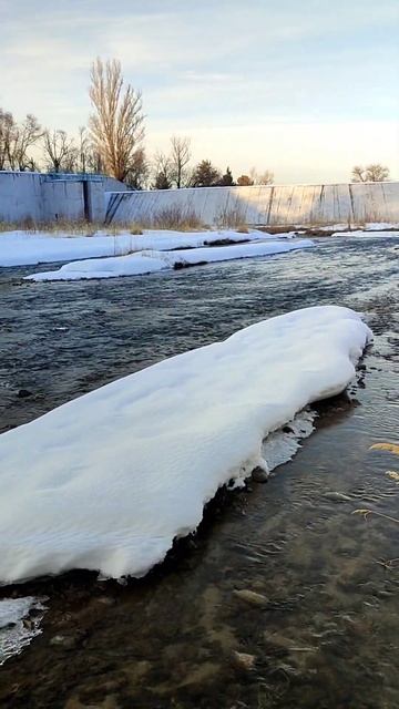 Любимое место прогулок Большая Алмаатинка