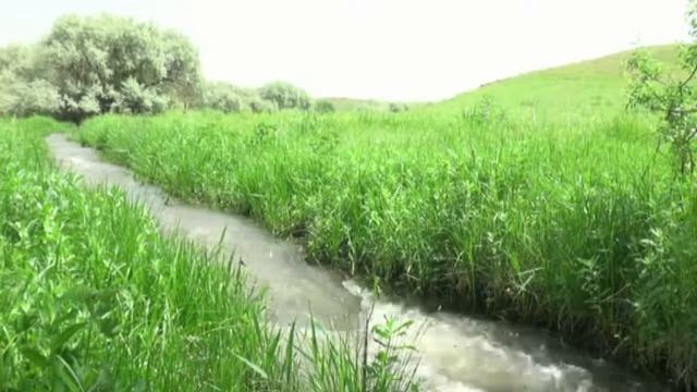 Туған жер туралы ән Қали Қораласбаев