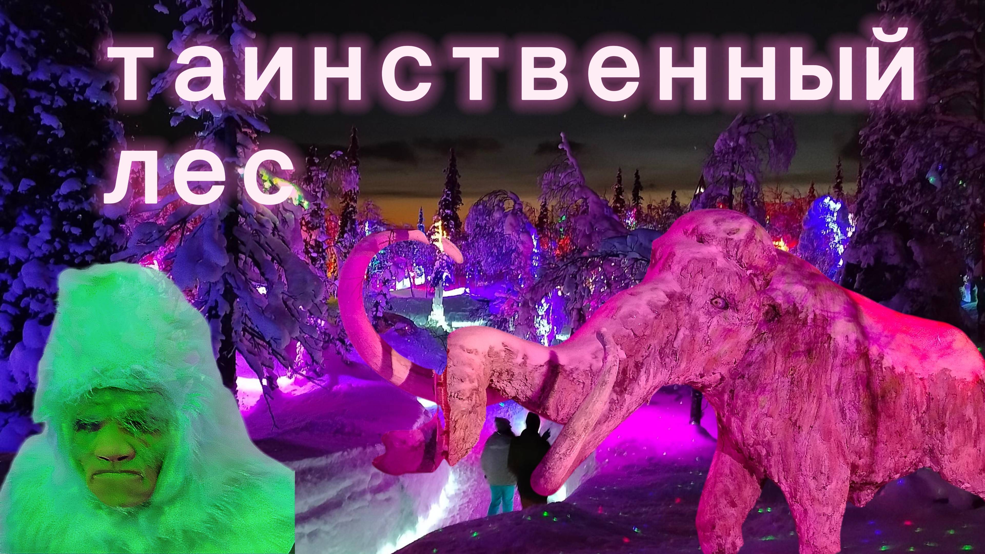 Кировск. Фантастический арт-парк Таинственный лес с оригинальным оформлением. Волшебство Заполярья