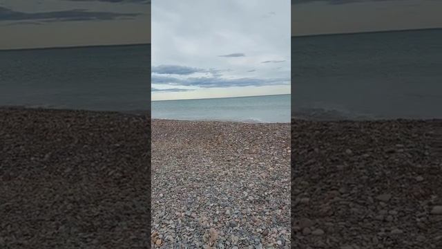 Сон про Горловку и насаждение деревьев!