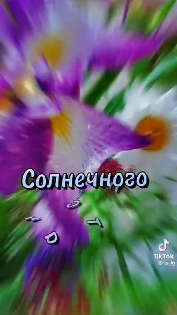 15-03-2025