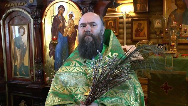 Протоиерей Андрей (Галухин): Проповедь в Неделю 6-ю, ваий (Вербное воскресенье) 13 апреля 2014 г.