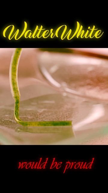 El Paso Del Gigante #fyp #рекомендации #memes #кухня #отельэлеон #music #Meme #FunnyMeme #DarkHumor