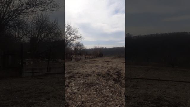 20250315_120913.mp4