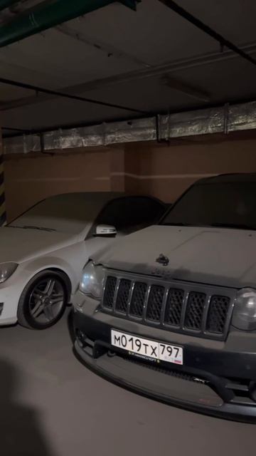 Srt8