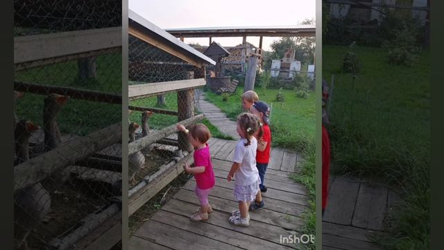 Веселый летний денёк с детьми в Парке Сказов