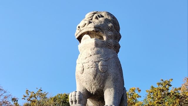 Китайские Львы на набережной!