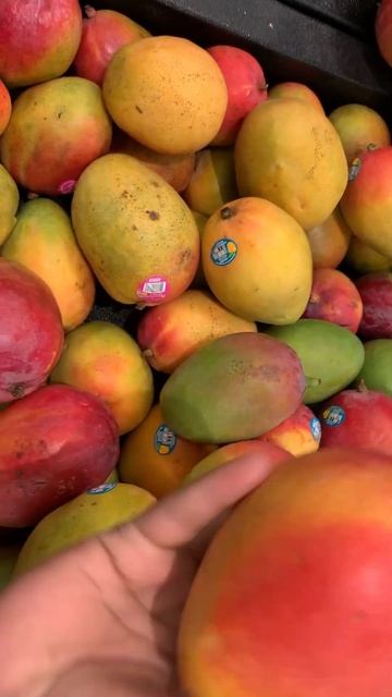 Mango in Ohio #trending