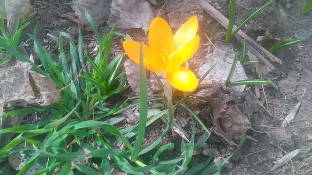 VID_20250313_105409
