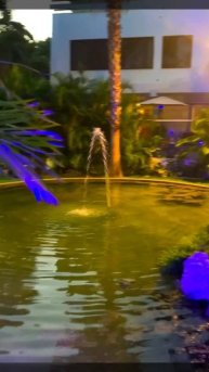 14-03-2025. Вечерняя подсветка пруда.