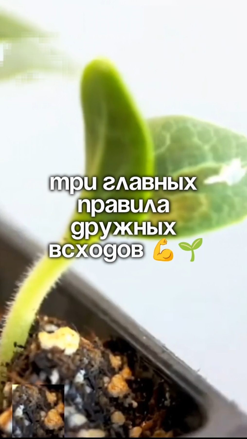3 главных правила для дружных восходов: