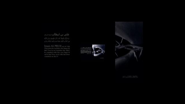 1000061597.mp4