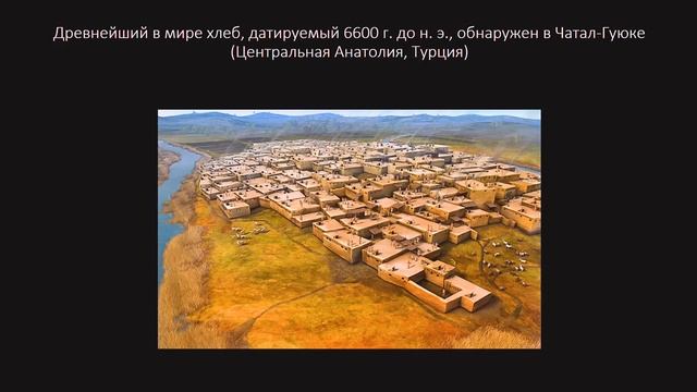 Археологические итоги 2024 года