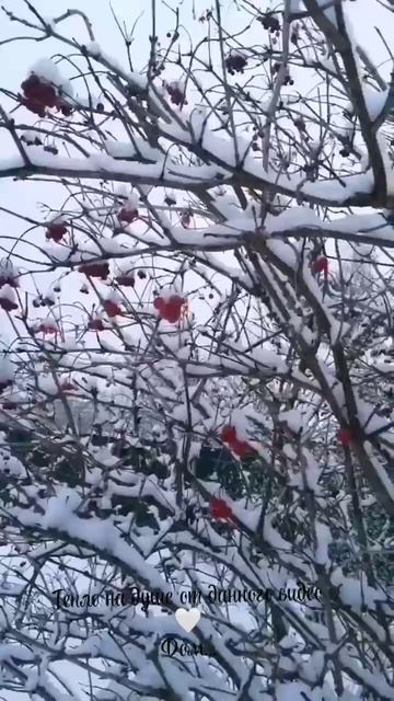 Моя деревня! Моя душа!