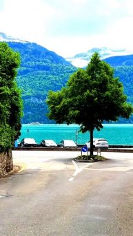 Реальные моменты