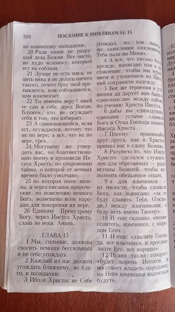 Как очистить свою голову от этих страшно смешных мыслей.