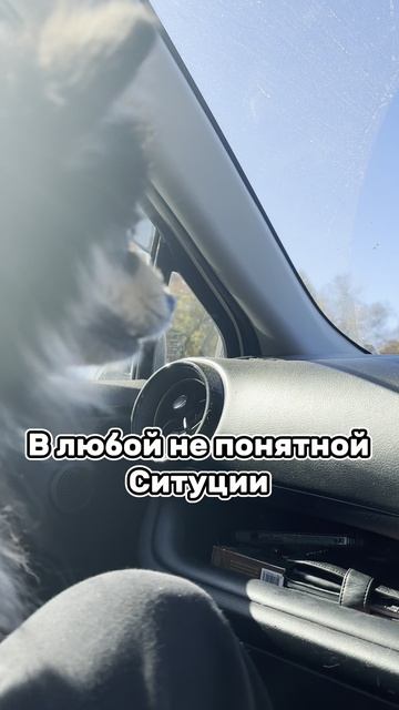 Танцы вася