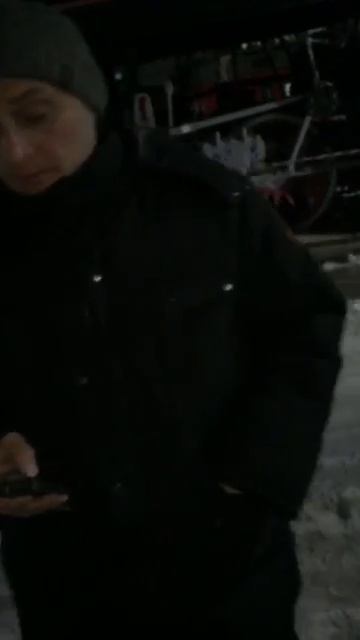 Беременную женщину не пускают в поезд во Владивостоке из-за собаки 2