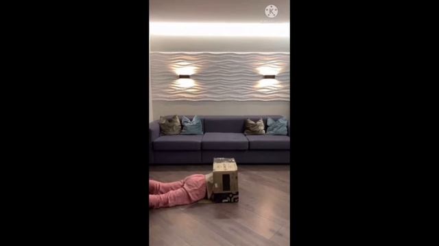 Пропадаю в коробке