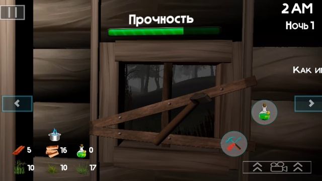 5 ночей бобра