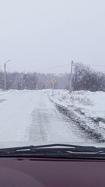 Снег ❄ погода)