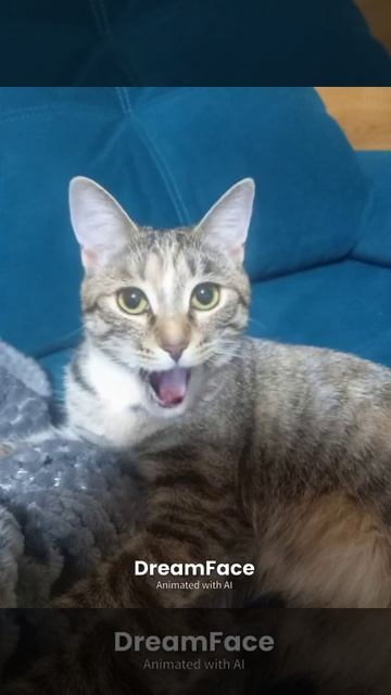 кошка Муська
