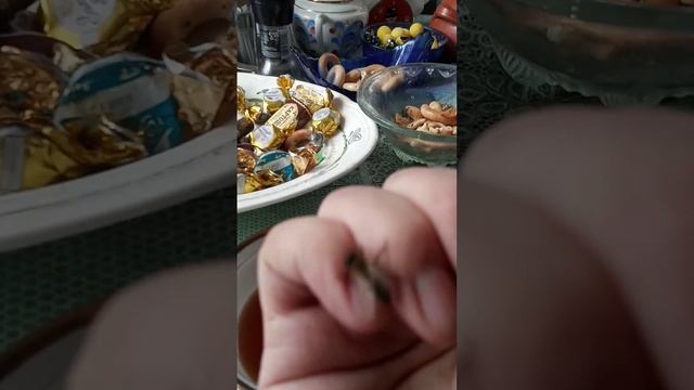 Средне русская пчела преследует меня)