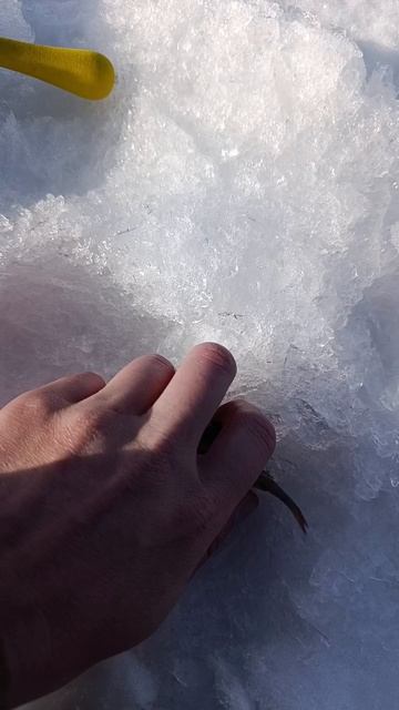 Руки большие