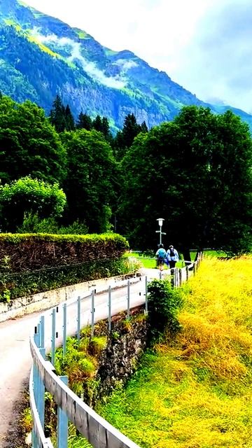 Необычные кадры