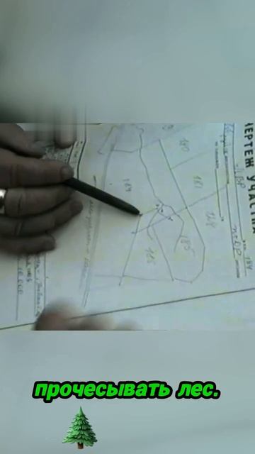 Надежда на находку, информация от мальчишек